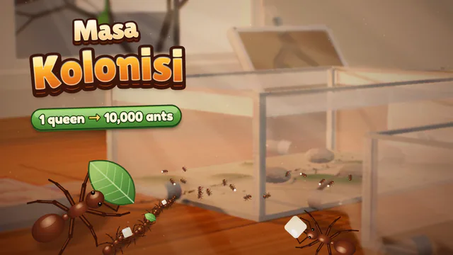 Masa Kolonisi
